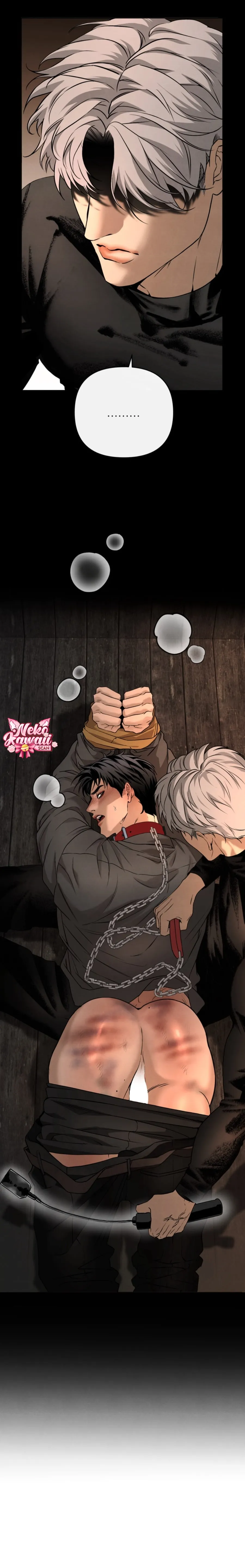 17 Domando al perro alfa