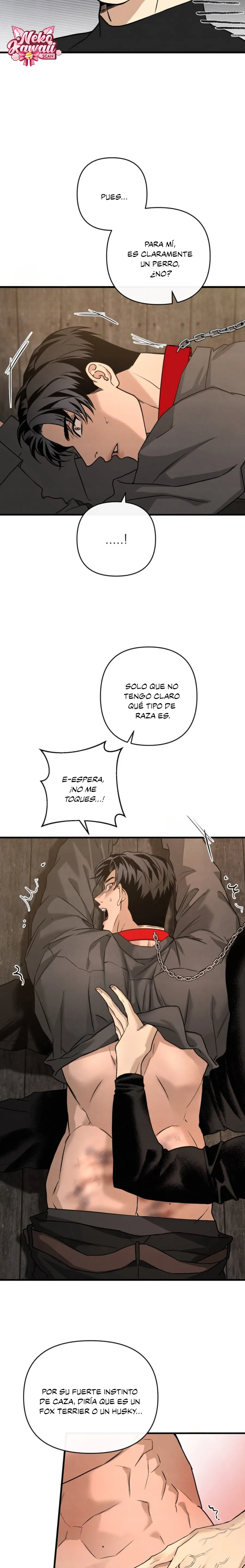 20 Domando al perro alfa