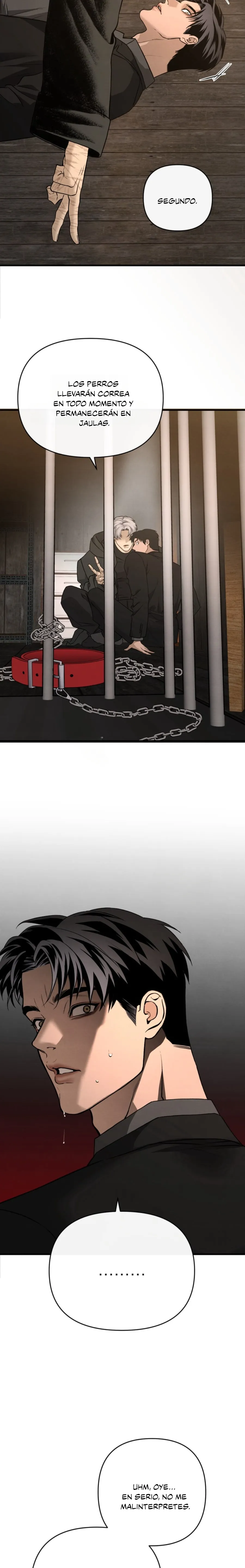 4 Domando al perro alfa