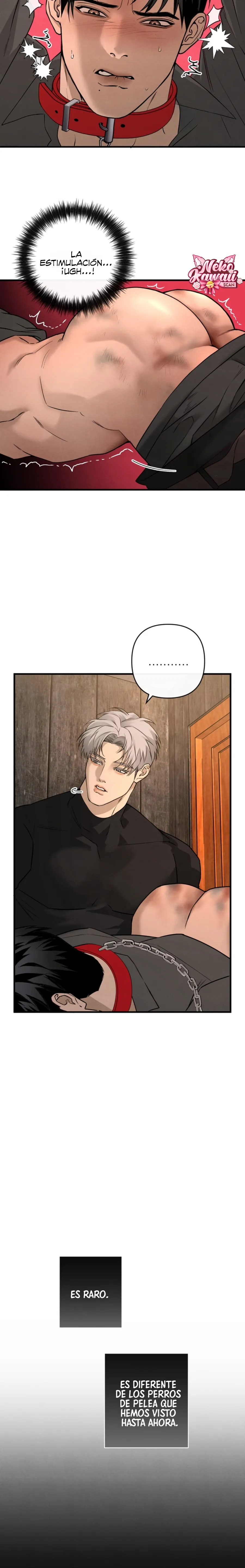 22 Domando al perro alfa