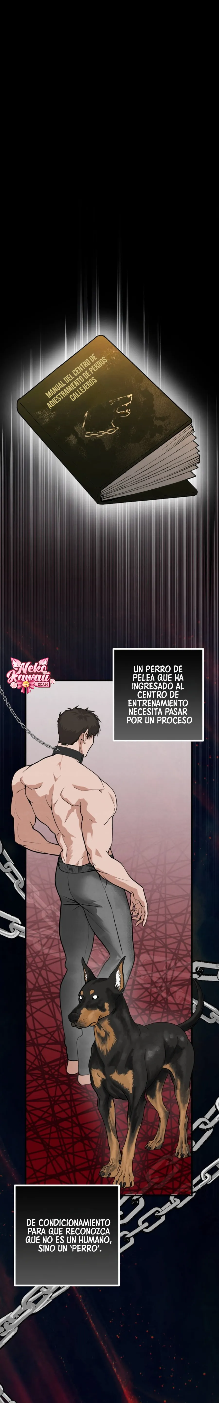 13 Domando al perro alfa