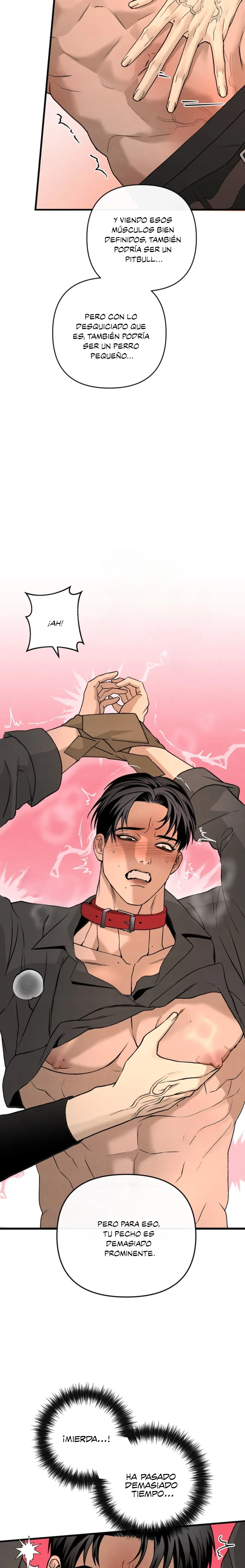 21 Domando al perro alfa