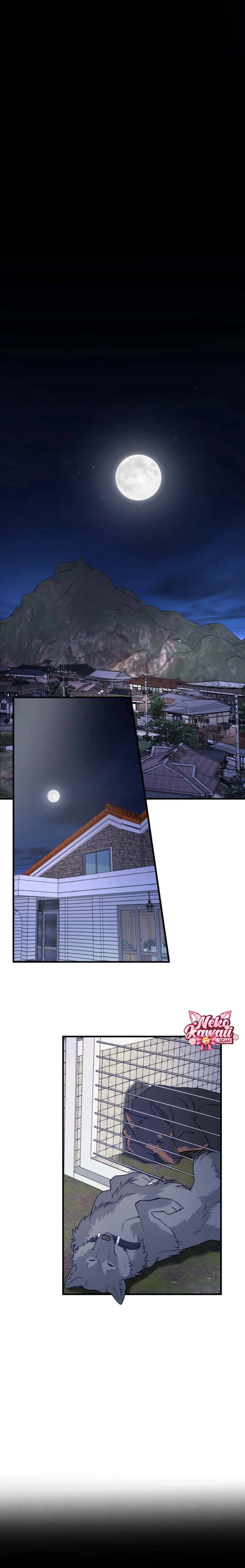 15 Domando al perro alfa