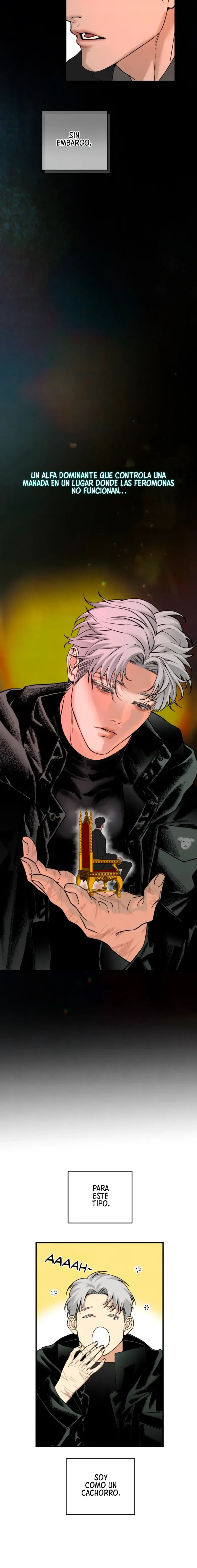 24 Domando al perro alfa