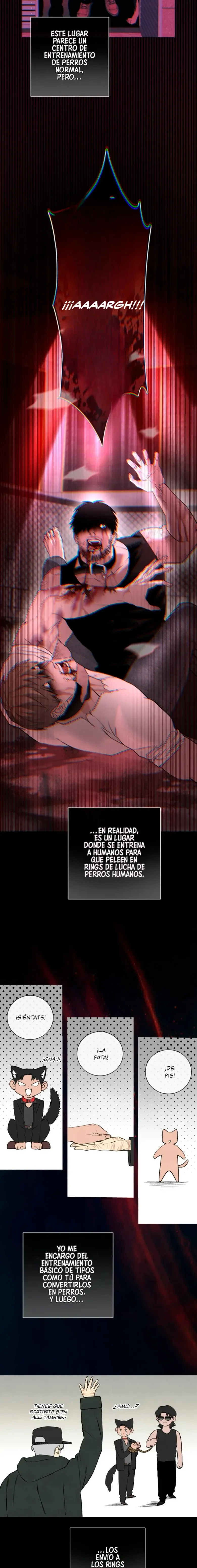 7 Domando al perro alfa