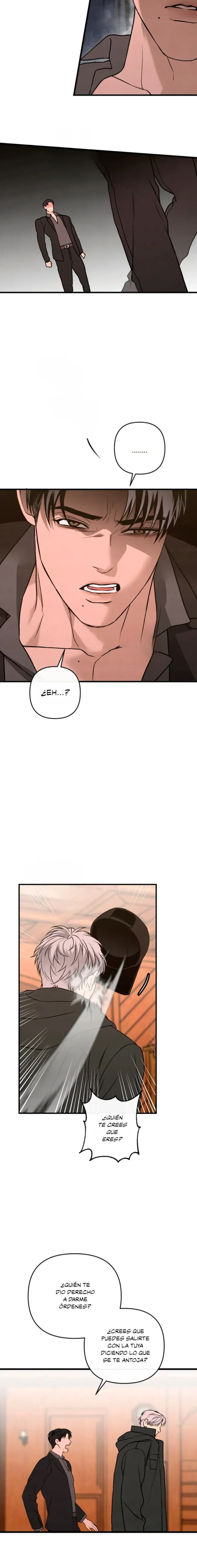 28 Domando al perro alfa