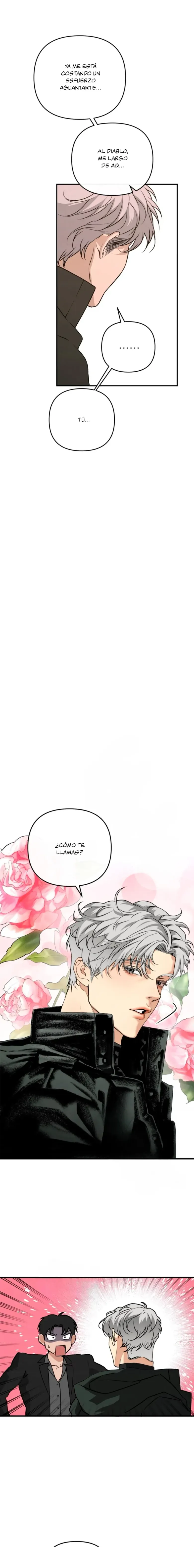 27 Domando al perro alfa