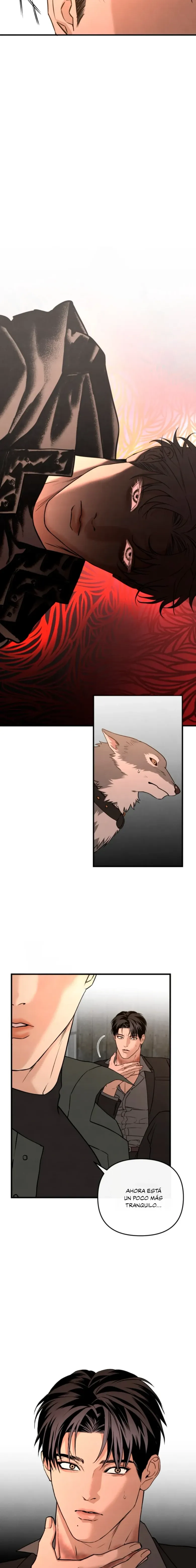 26 Domando al perro alfa