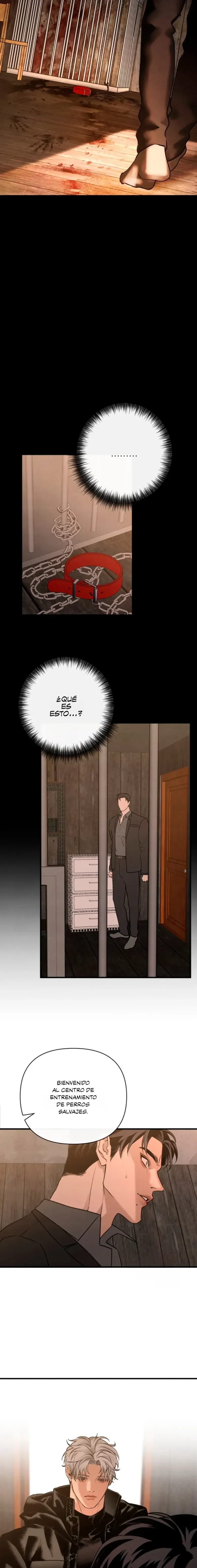 14 Domando al perro alfa