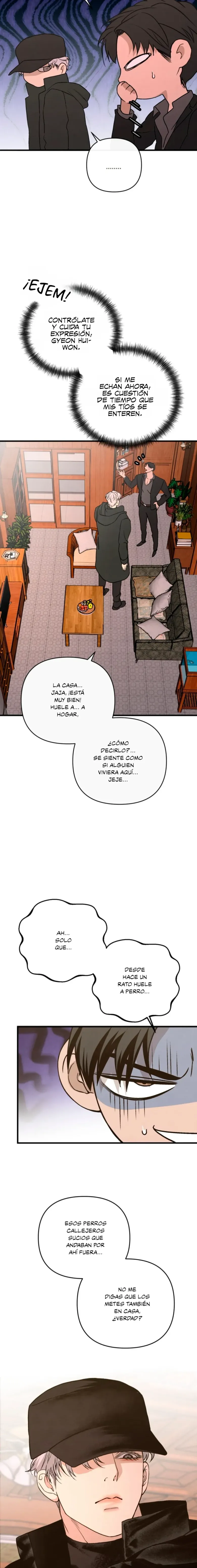 25 Domando al perro alfa