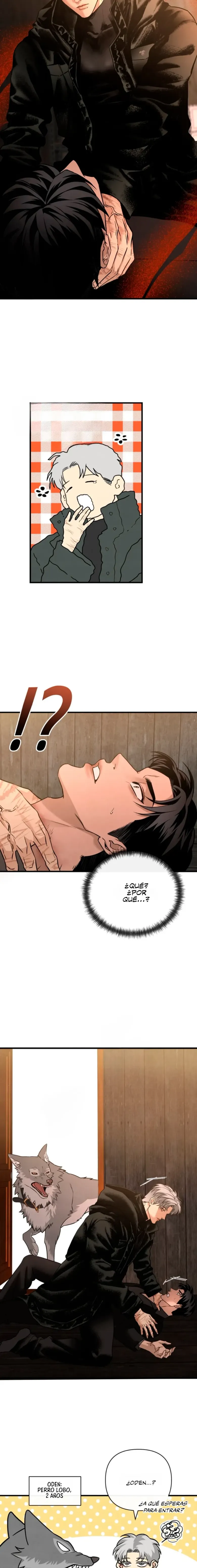 16 Domando al perro alfa