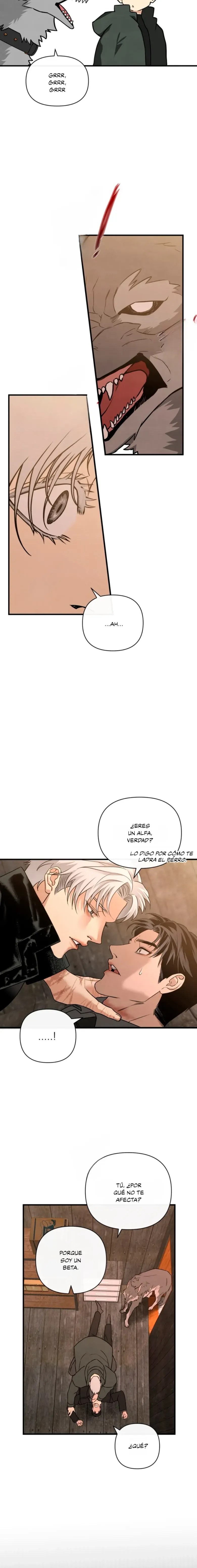 15 Domando al perro alfa