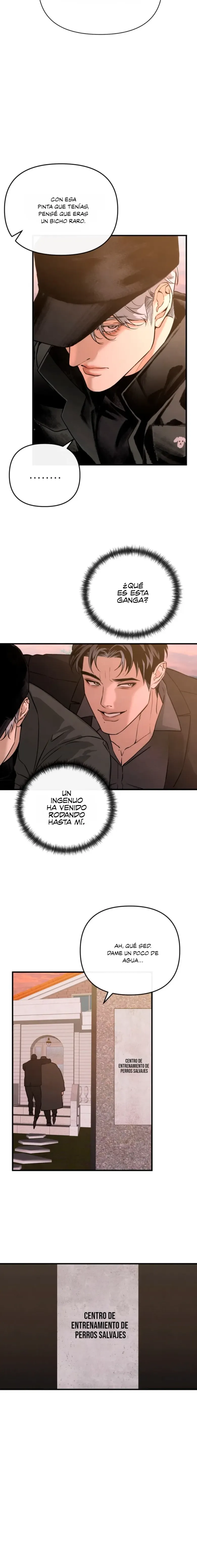 12 Domando al perro alfa