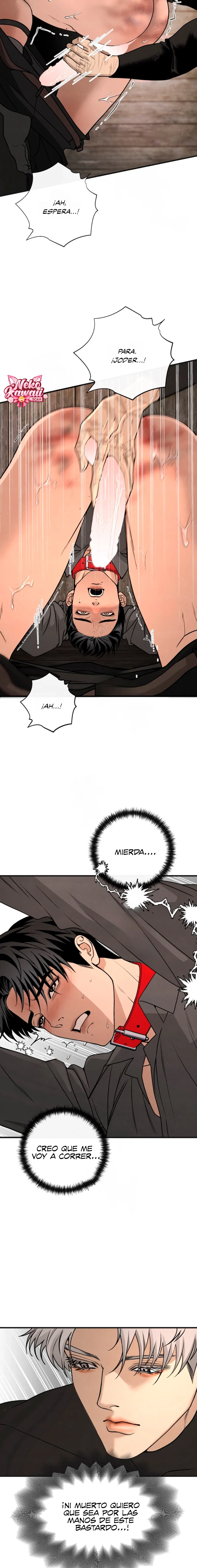 7 Domando al perro alfa