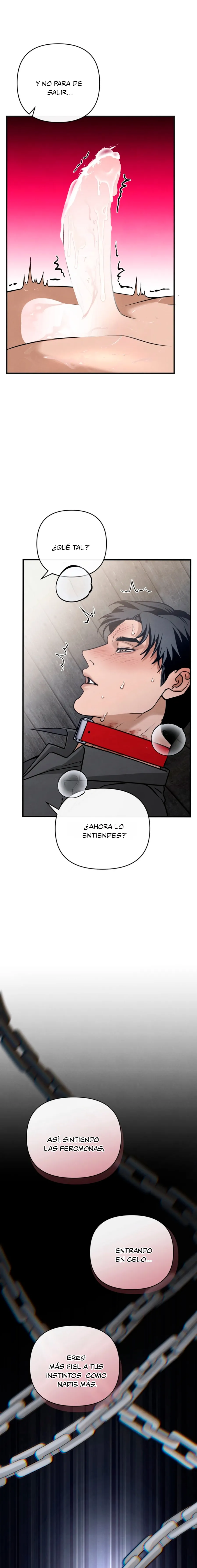 27 Domando al perro alfa