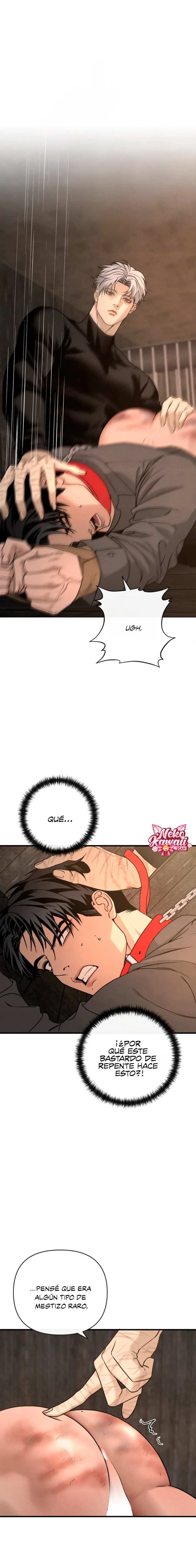 3 Domando al perro alfa