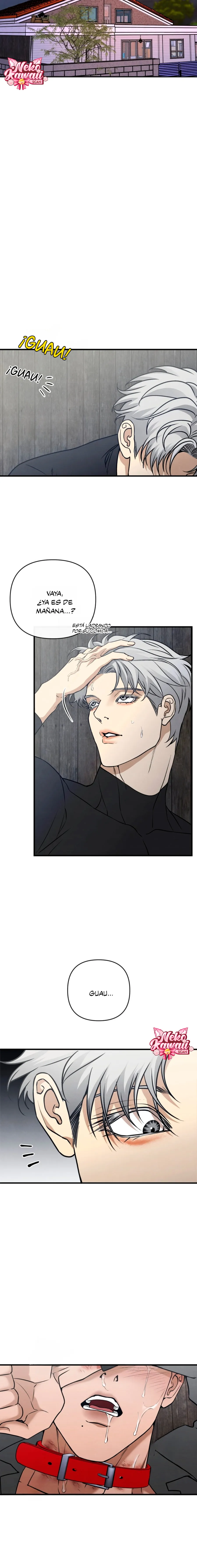 23 Domando al perro alfa