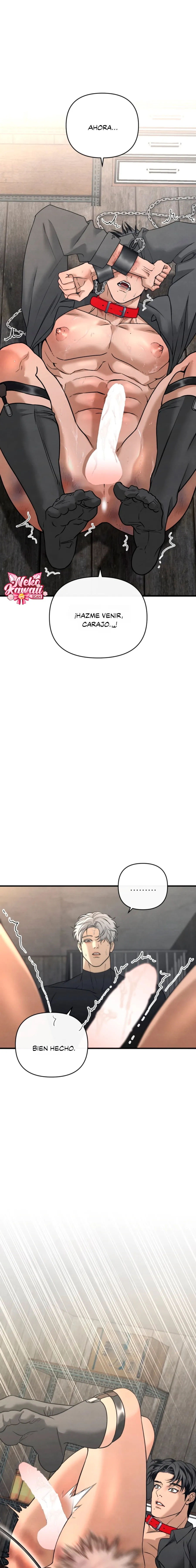 24 Domando al perro alfa