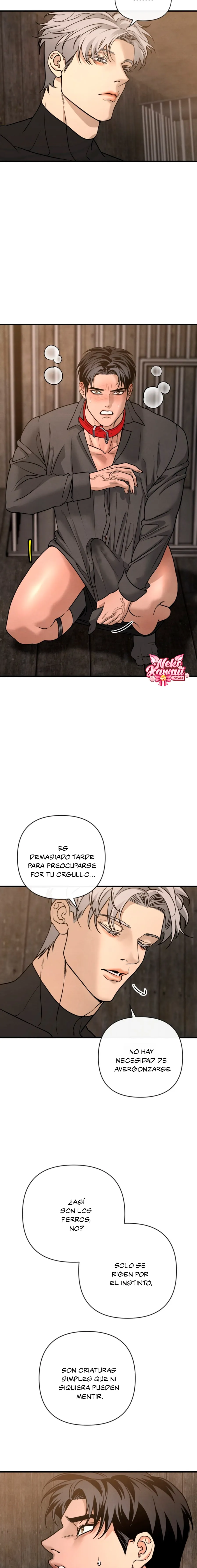 13 Domando al perro alfa