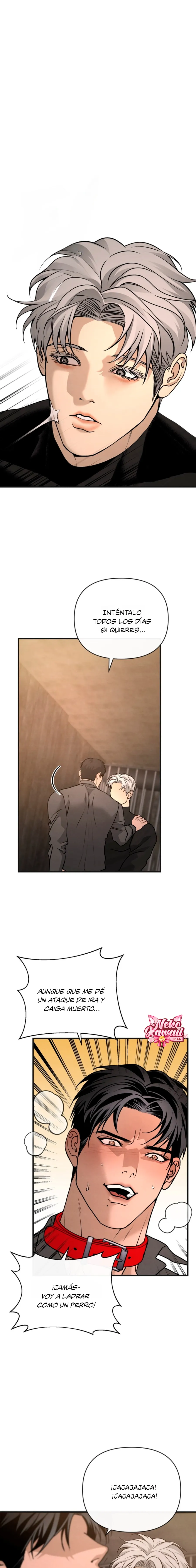 16 Domando al perro alfa