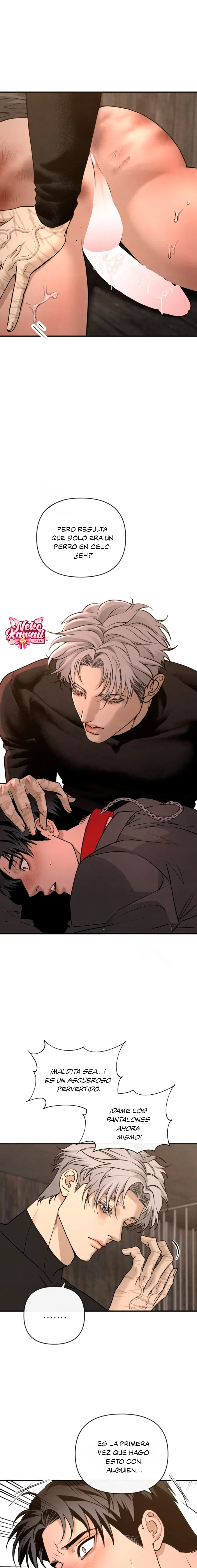 4 Domando al perro alfa