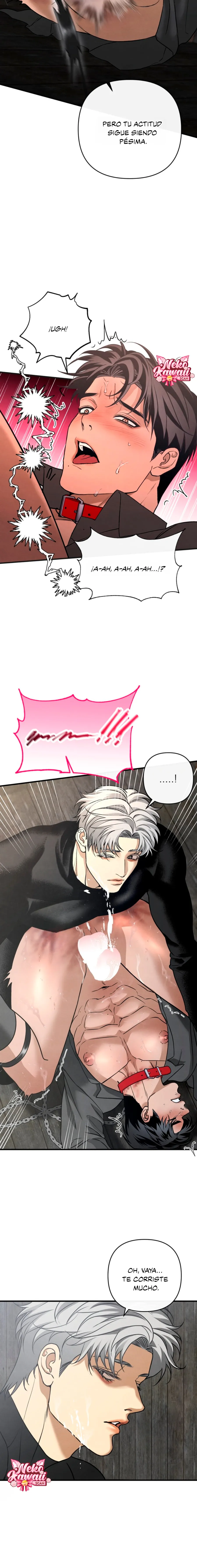 26 Domando al perro alfa