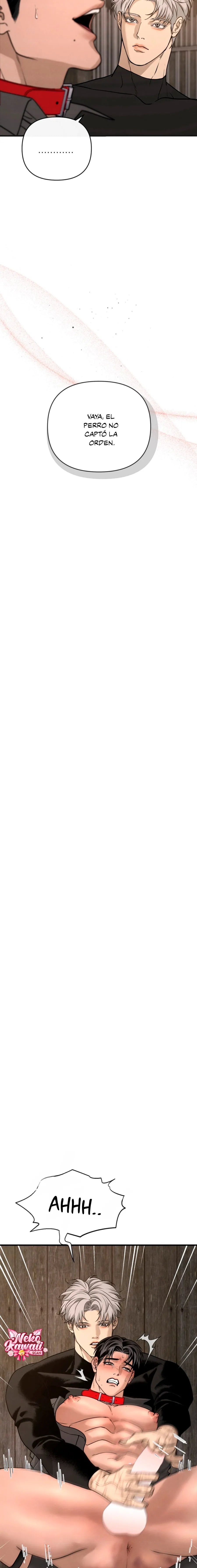 17 Domando al perro alfa