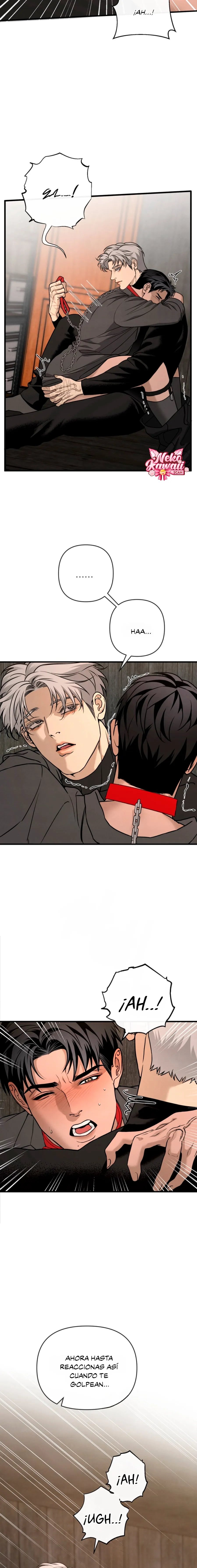 11 Domando al perro alfa