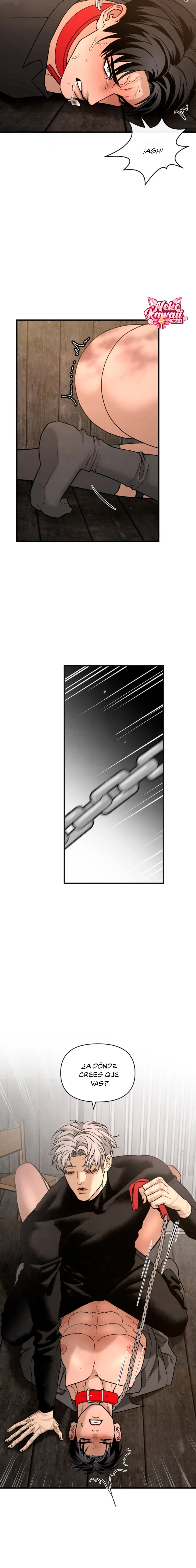 19 Domando al perro alfa