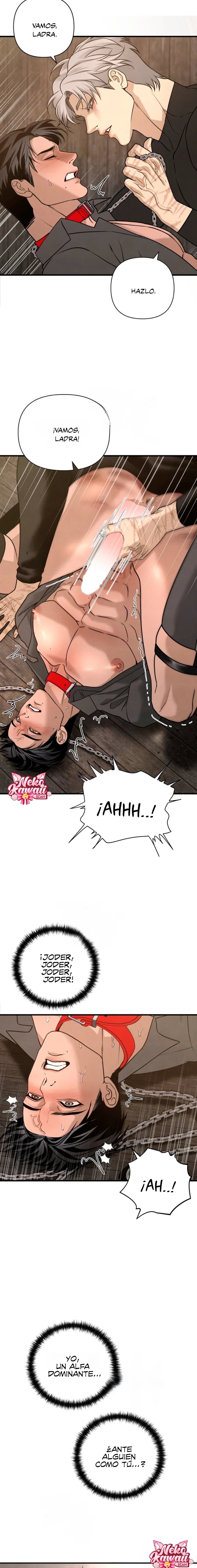 21 Domando al perro alfa