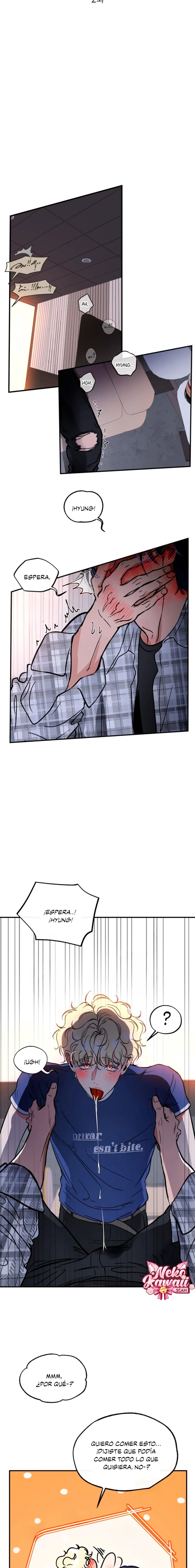 16 ¡El estafador novato atrapó a un oso!