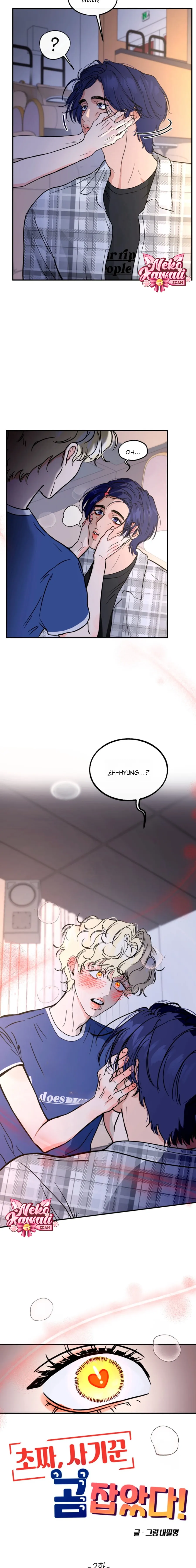 15 ¡El estafador novato atrapó a un oso!