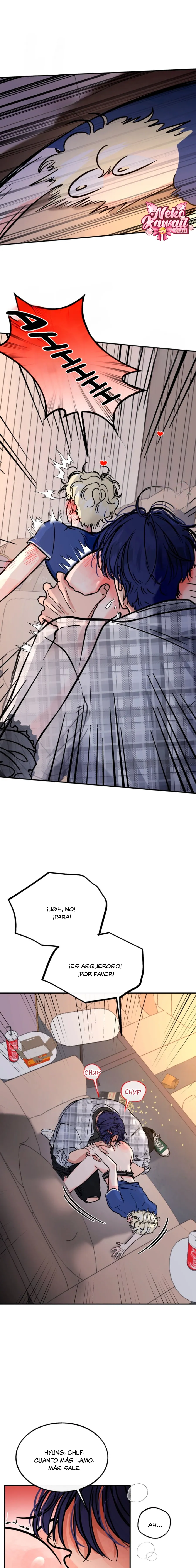 15 ¡El estafador novato atrapó a un oso!