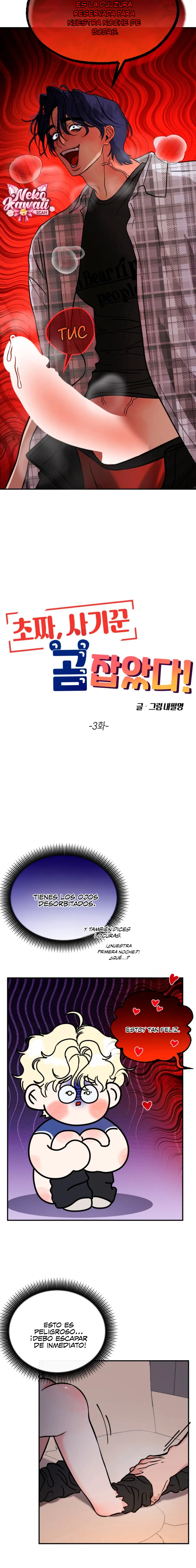 14 ¡El estafador novato atrapó a un oso!