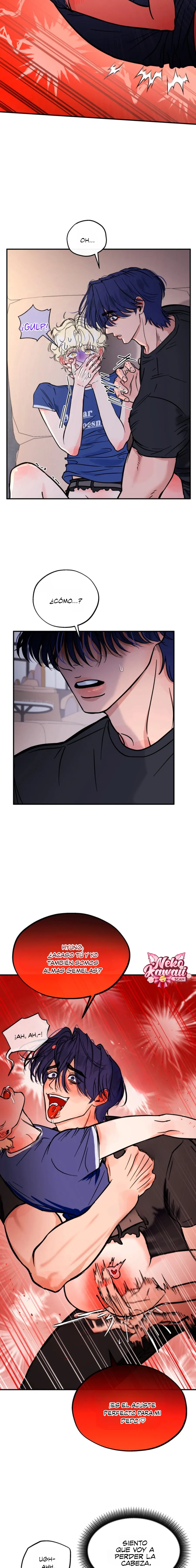 9 ¡El estafador novato atrapó a un oso!