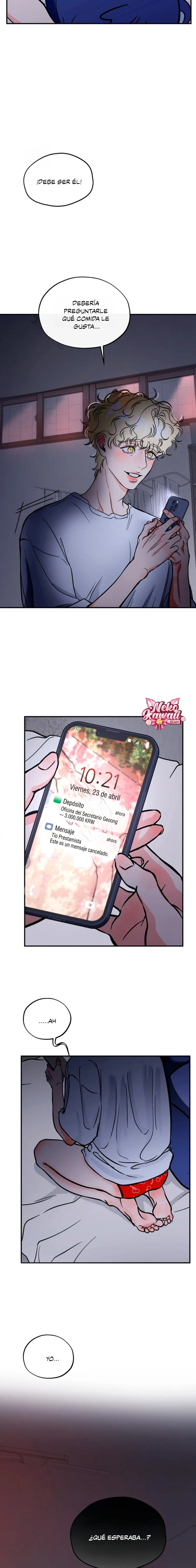 14 ¡El estafador novato atrapó a un oso!