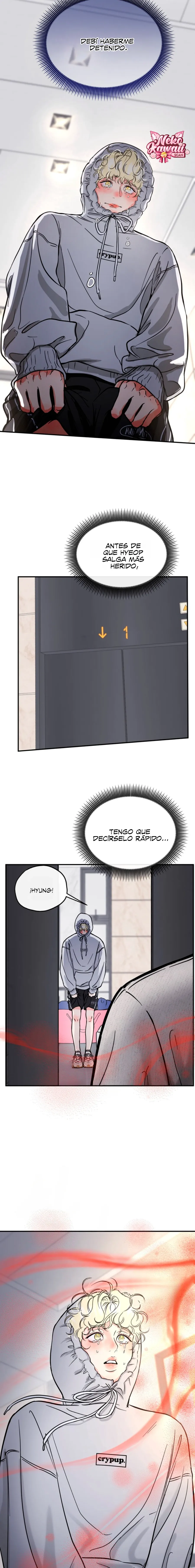 17 ¡El estafador novato atrapó a un oso!