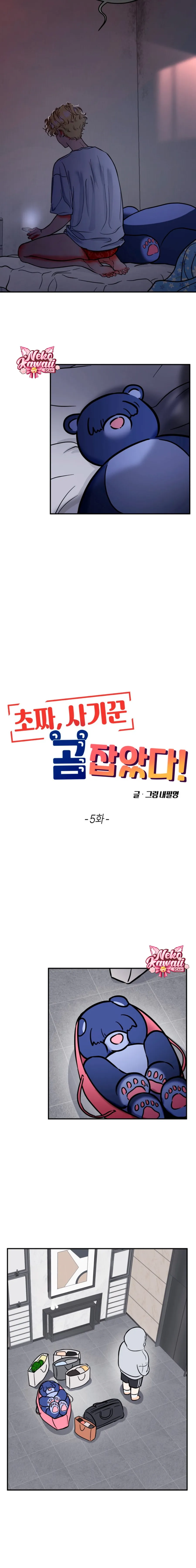 15 ¡El estafador novato atrapó a un oso!