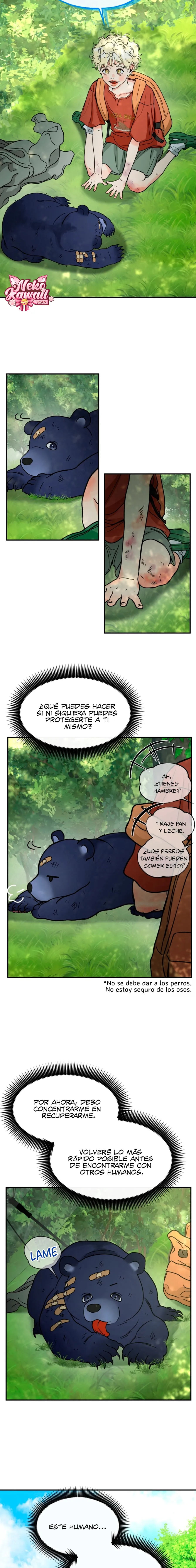 9 ¡El estafador novato atrapó a un oso!