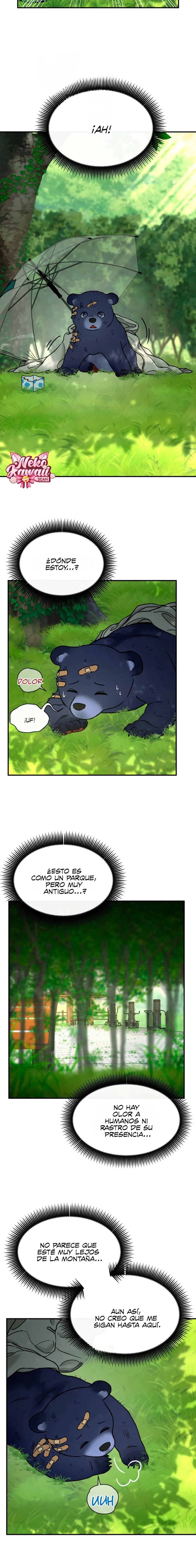 4 ¡El estafador novato atrapó a un oso!