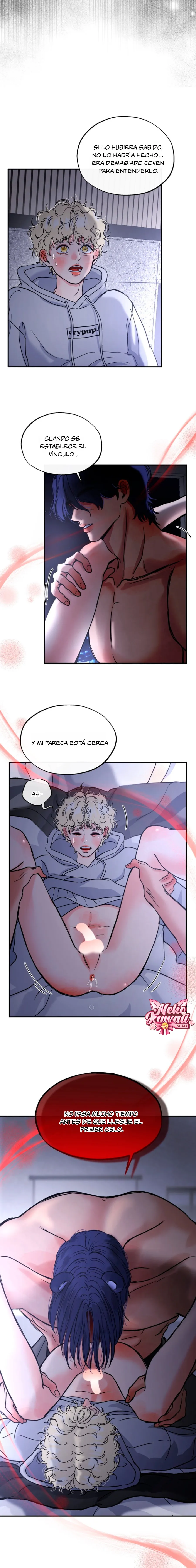 21 ¡El estafador novato atrapó a un oso!