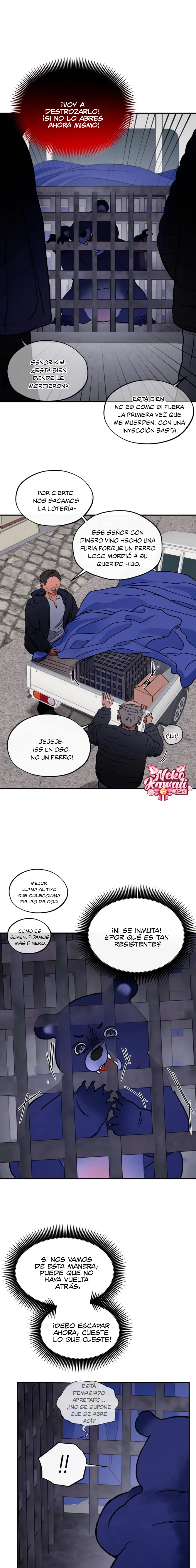 12 ¡El estafador novato atrapó a un oso!