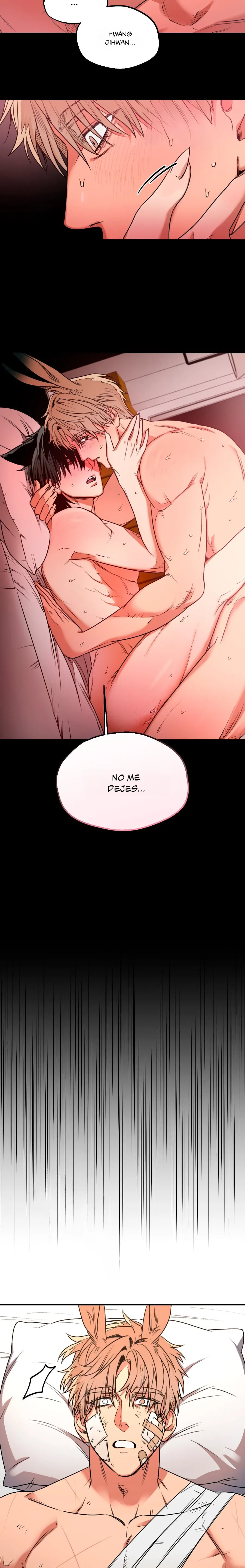 21 Atrapando un conejo