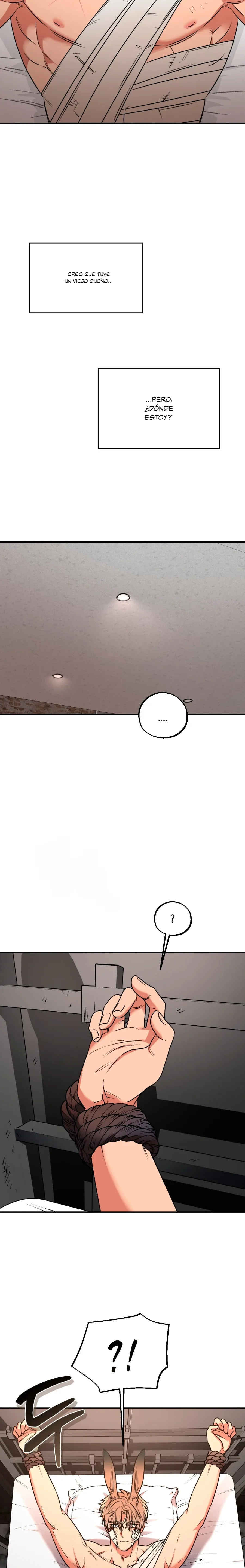 22 Atrapando un conejo