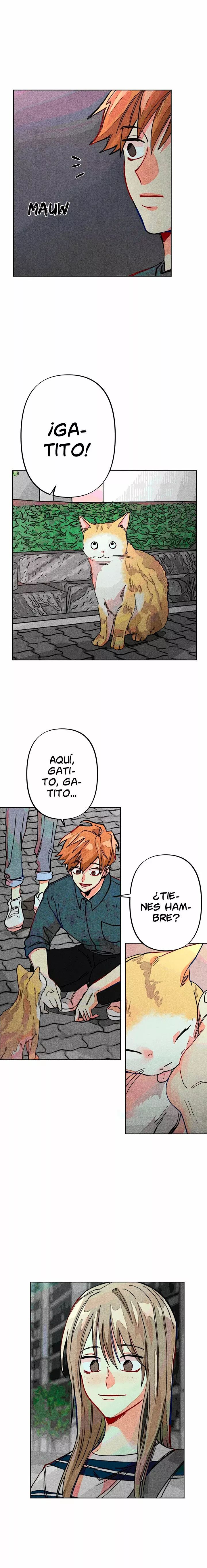 17 Mirada Perturbadora