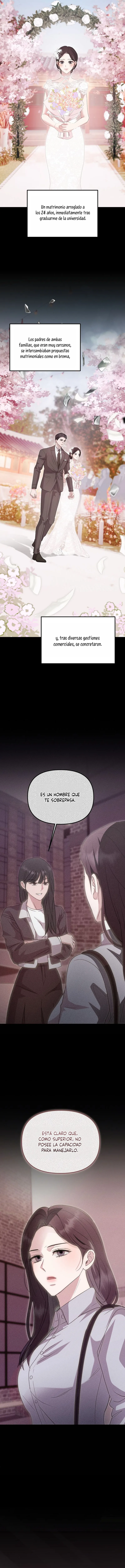 7 Amor a destiempo tras el matrimonio