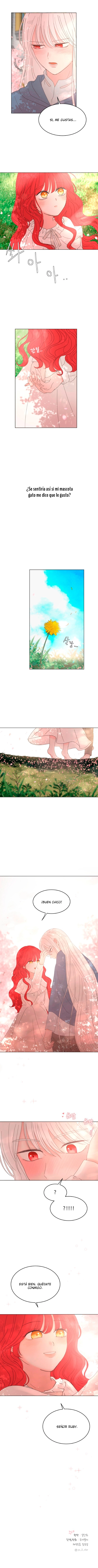 5 Adopte al protagonista masculino