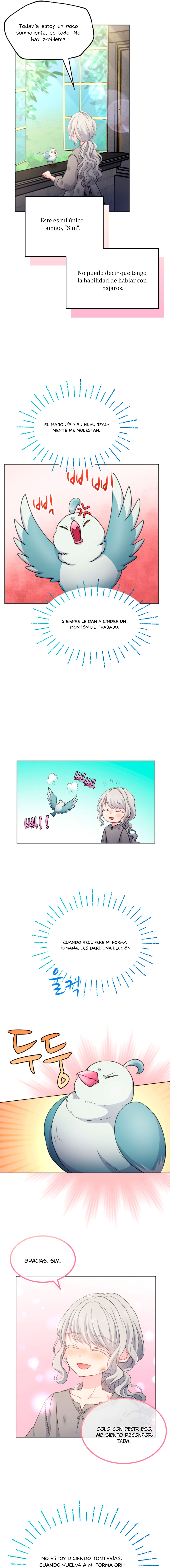 7 La niña cenicienta es la princesa de la luz