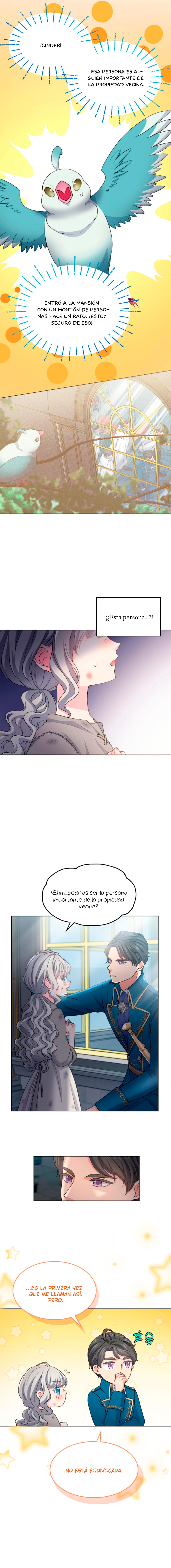 12 La niña cenicienta es la princesa de la luz