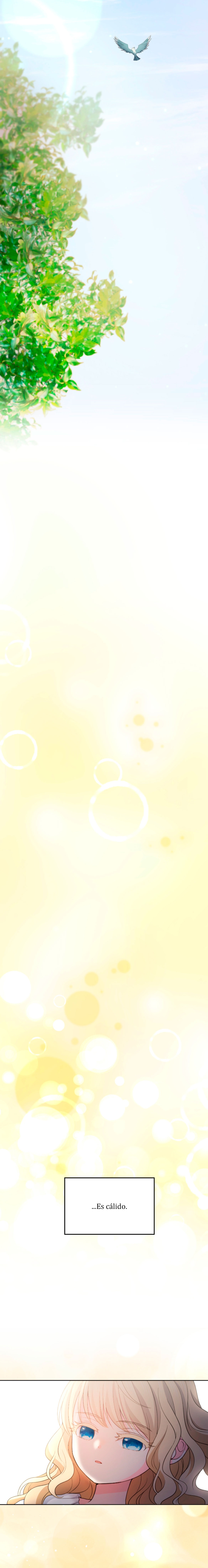 8 La niña cenicienta es la princesa de la luz